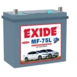 Exide-Mf-75L